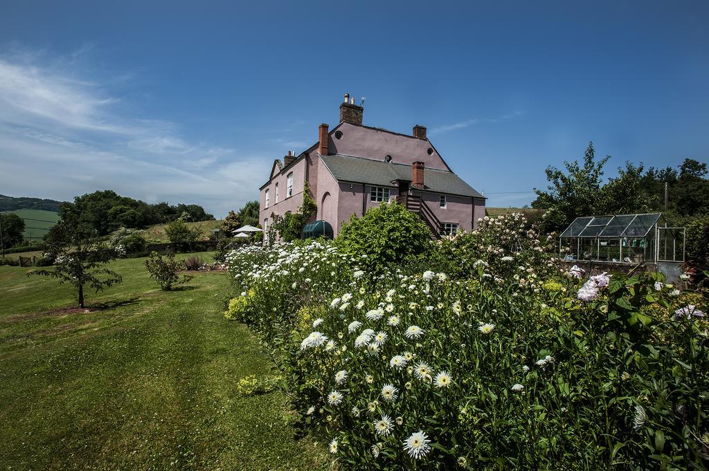 Wood Advent Farm Washford Exterior photo